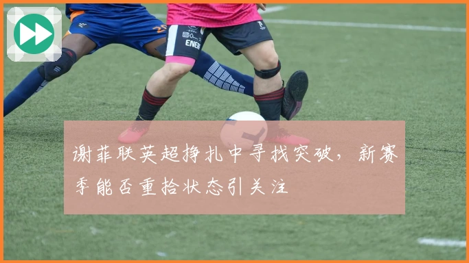 谢菲联英超挣扎中寻找突破，新赛季能否重拾状态引关注